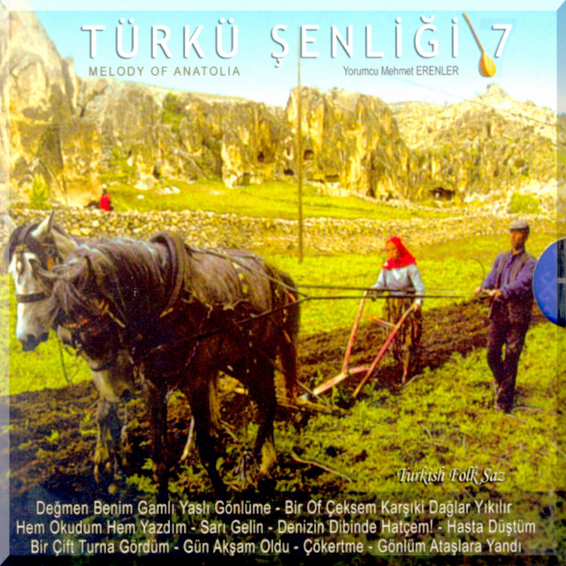 Mehmet Erenler